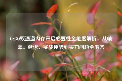 CSGO双通道内存开启必要性全维度解析，从帧率、延迟、实战体验到买刀问题全解答