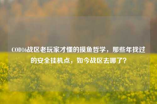 COD16战区老玩家才懂的摸鱼哲学,那些年找过的安全挂机点,如今战区去哪了?