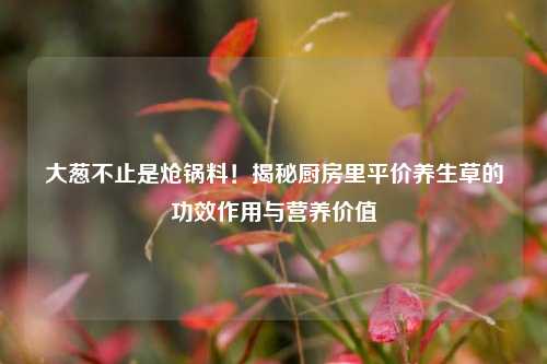 大葱不止是炝锅料!揭秘厨房里平价养生草的功效作用与营养价值