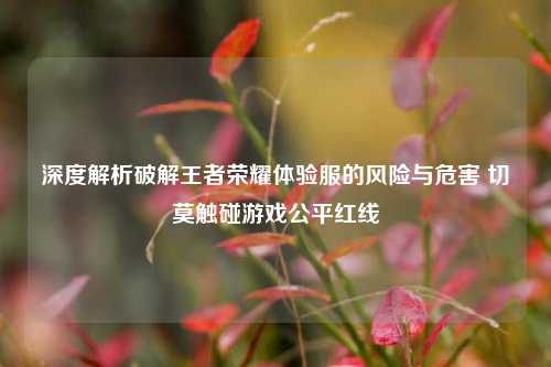 深度解析破解王者荣耀体验服的风险与危害 切莫触碰游戏公平红线