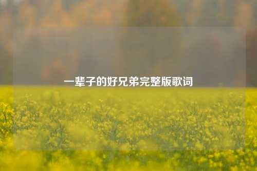 一辈子的好兄弟完整版歌词