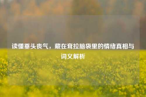 读懂垂头丧气，藏在耷拉脑袋里的情绪真相与词义解析