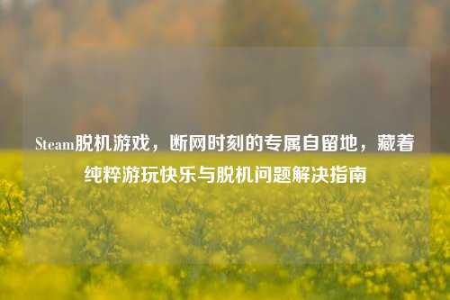 Steam脱机游戏,断网时刻的专属自留地,藏着纯粹游玩快乐与脱机问题解决指南