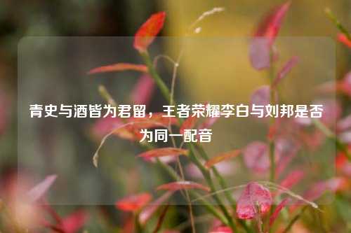 青史与酒皆为君留，王者荣耀李白与刘邦是否为同一配音