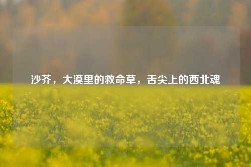 沙芥,大漠里的救命草,舌尖上的西北魂