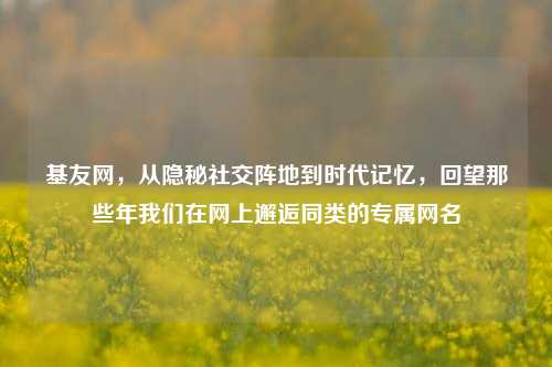 基友网,从隐秘社交阵地到时代记忆,回望那些年我们在网上邂逅同类的专属网名