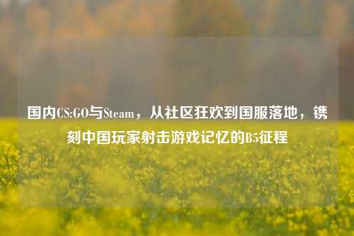 国内CS:GO与Steam,从社区狂欢到国服落地,镌刻中国玩家射击游戏记忆的B5征程