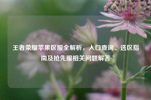 王者荣耀苹果区服全解析,入口查询、选区指南及抢先服相关问题解答