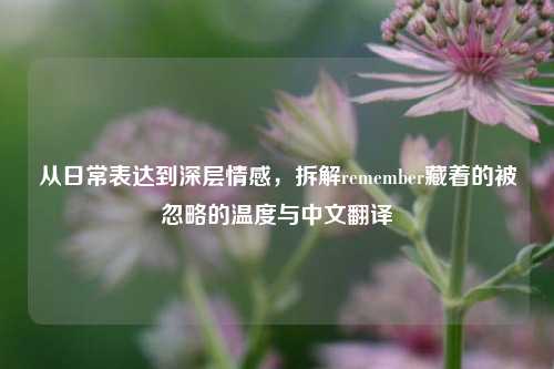 从日常表达到深层情感，拆解remember藏着的被忽略的温度与中文翻译