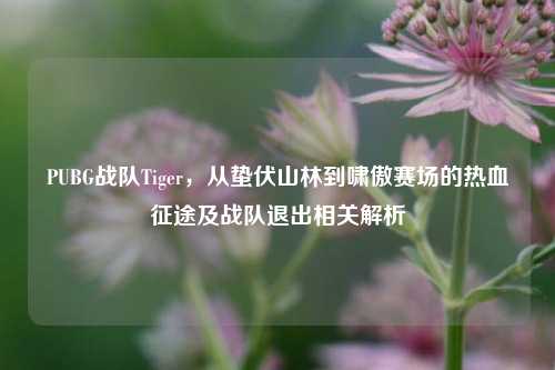 PUBG战队Tiger,从蛰伏山林到啸傲赛场的热血征途及战队退出相关解析
