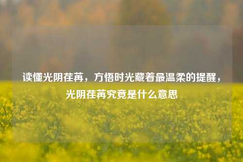 读懂光阴荏苒,方悟时光藏着最温柔的提醒,光阴荏苒究竟是什么意思