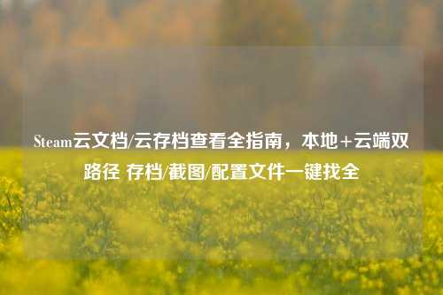 Steam云文档/云存档查看全指南,本地+云端双路径 存档/截图/配置文件一键找全