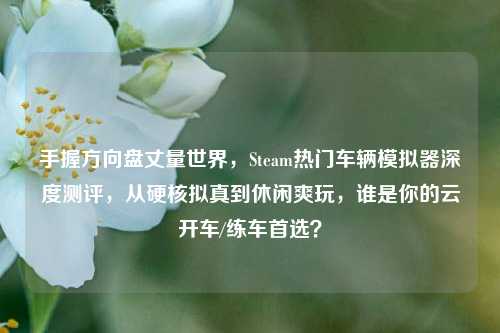 手握方向盘丈量世界,Steam热门车辆模拟器深度测评,从硬核拟真到休闲爽玩,谁是你的云开车/练车首选?