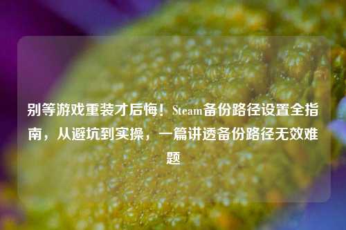 别等游戏重装才后悔！Steam备份路径设置全指南，从避坑到实操，一篇讲透备份路径无效难题