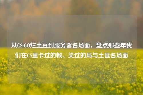 从CS:GO烂土豆到服务器名场面,盘点那些年我们在CS里卡过的帧、笑过的局与土匪名场面