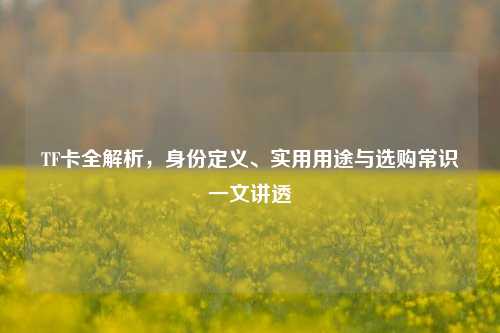 TF卡全解析，身份定义、实用用途与选购常识一文讲透
