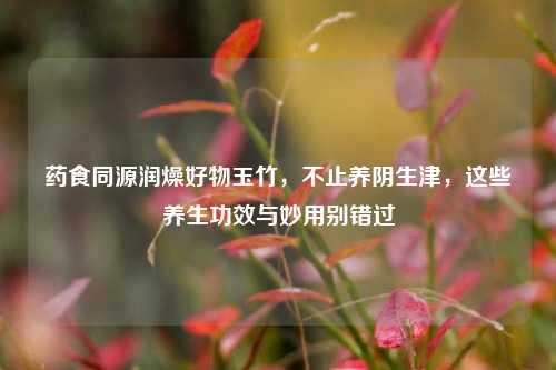 药食同源润燥好物玉竹,不止养阴生津,这些养生功效与妙用别错过