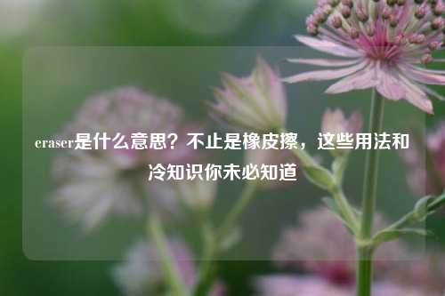 eraser是什么意思?不止是橡皮擦,这些用法和冷知识你未必知道