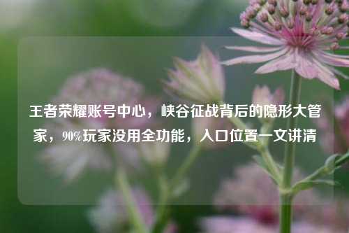 王者荣耀账号中心,峡谷征战背后的隐形大管家,90%玩家没用全功能,入口位置一文讲清