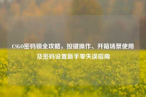 CSGO密码锁全攻略，按键操作、开箱场景使用及密码设置新手零失误指南
