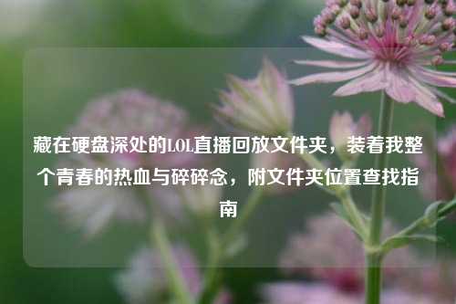 藏在硬盘深处的LOL直播回放文件夹，装着我整个青春的热血与碎碎念，附文件夹位置查找指南