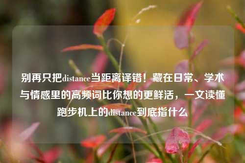 别再只把distance当距离译错!藏在日常、学术与情感里的高频词比你想的更鲜活,一文读懂跑步机上的distance到底指什么