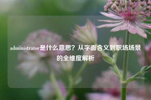 administrator是什么意思？从字面含义到职场场景的全维度解析