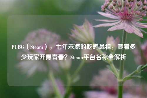 PUBG(Steam),七年未凉的吃鸡鼻祖,藏着多少玩家开黑青春?Steam平台名称全解析