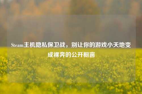Steam主机隐私保卫战，别让你的游戏小天地变成裸奔的公开橱窗