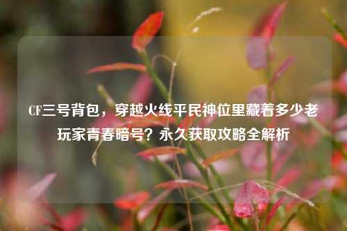 CF三号背包,穿越火线平民神位里藏着多少老玩家青春暗号?永久获取攻略全解析
