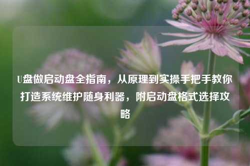 U盘做启动盘全指南,从原理到实操手把手教你打造系统维护随身利器,附启动盘格式选择攻略