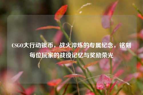 CSGO大行动银币,战火淬炼的专属纪念,铭刻每位玩家的战役记忆与奖励荣光