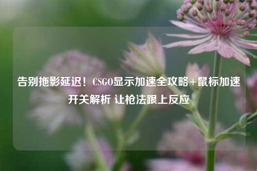 告别拖影延迟!CSGO显示加速全攻略+鼠标加速开关解析 让枪法跟上反应