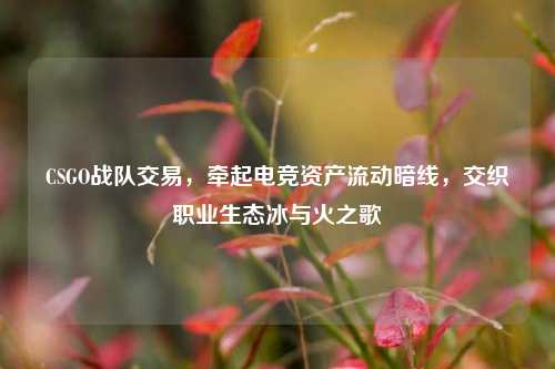 CSGO战队交易，牵起电竞资产流动暗线，交织职业生态冰与火之歌