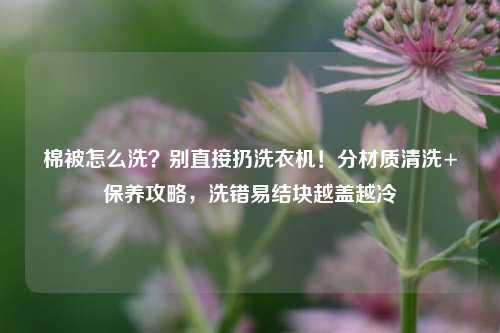 棉被怎么洗?别直接扔洗衣机!分材质清洗+保养攻略,洗错易结块越盖越冷