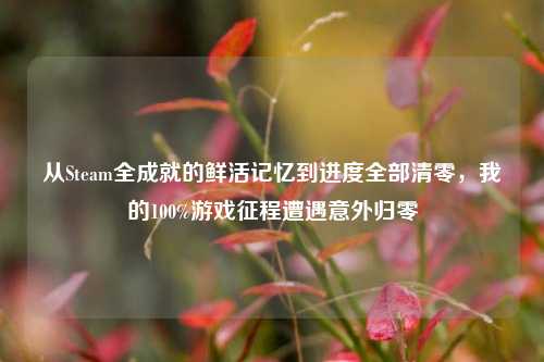 从Steam全成就的鲜活记忆到进度全部清零，我的100%游戏征程遭遇意外归零