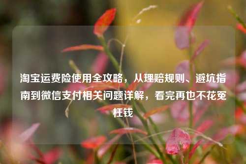 淘宝运费险使用全攻略,从理赔规则、避坑指南到微信支付相关问题详解,看完再也不花冤枉钱