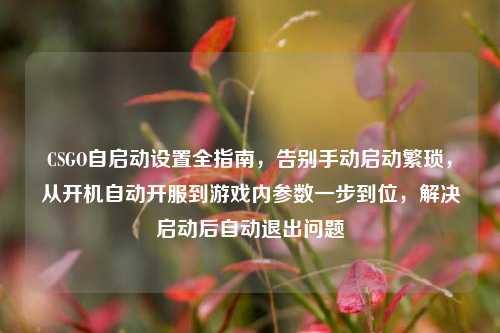 CSGO自启动设置全指南，告别手动启动繁琐，从开机自动开服到游戏内参数一步到位，解决启动后自动退出问题