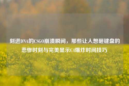 刻进DNA的CSGO崩溃瞬间,那些让人想砸键盘的悲惨时刻与完美显示C4爆炸时间技巧