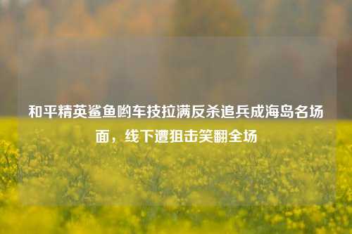 和平精英鲨鱼哟车技拉满反杀追兵成海岛名场面,线下遭狙击笑翻全场
