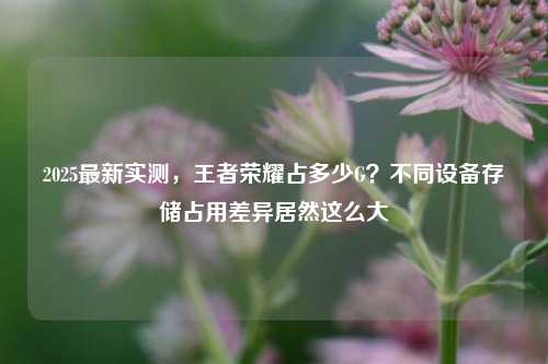 2025最新实测，王者荣耀占多少G？不同设备存储占用差异居然这么大