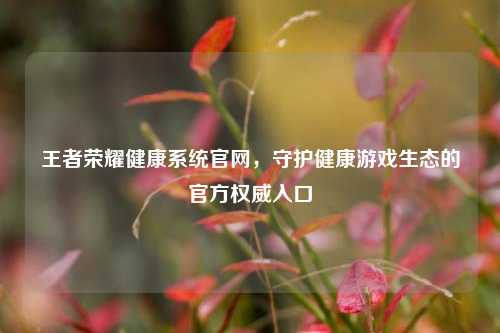 王者荣耀健康系统官网,守护健康游戏生态的官方权威入口