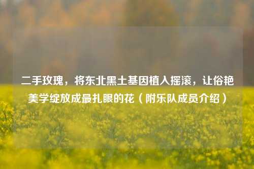 二手玫瑰,将东北黑土基因植入摇滚,让俗艳美学绽放成最扎眼的花(附乐队成员介绍)