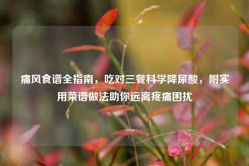 痛风食谱全指南，吃对三餐科学降尿酸，附实用菜谱做法助你远离疼痛困扰