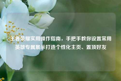 王者荣耀实用操作指南，手把手教你设置常用英雄专属展示打造个性化主页、置顶好友