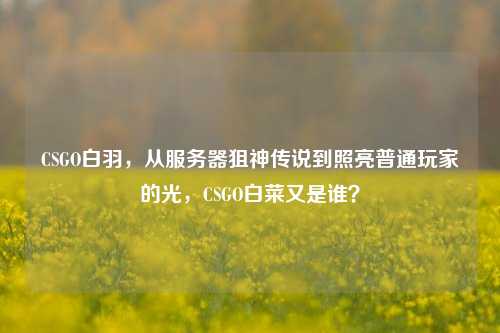 CSGO白羽,从服务器狙神传说到照亮普通玩家的光,CSGO白菜又是谁?
