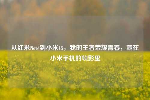 从红米Note到小米15，我的王者荣耀青春，藏在小米手机的帧影里