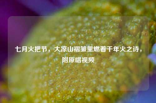 七月火把节，大凉山褶皱里燃着千年火之诗，附原唱视频