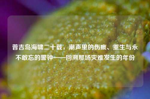 普吉岛海啸二十载,潮声里的伤痕、重生与永不敢忘的警钟——回溯那场灾难发生的年份
