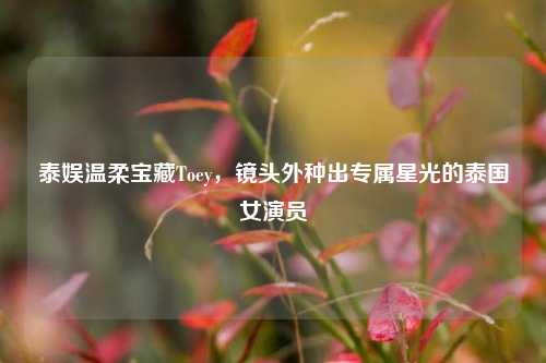 泰娱温柔宝藏Toey,镜头外种出专属星光的泰国女演员